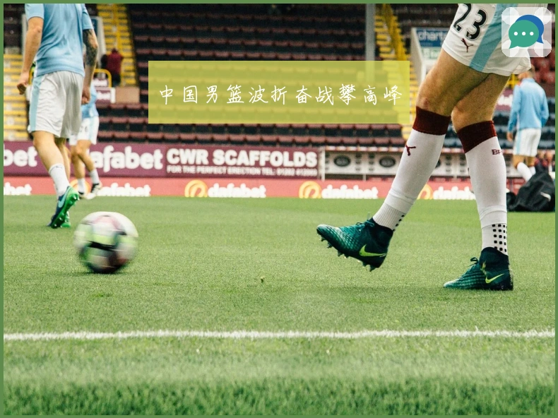 中国男篮波折奋战攀高峰