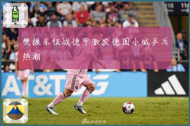 樊振东征战德甲激发德国小城乒乓热潮