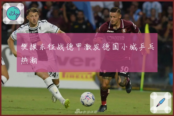 樊振东征战德甲激发德国小城乒乓热潮