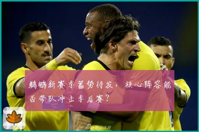 鹈鹕新赛季蓄势待发，核心阵容能否带队冲击季后赛？